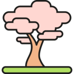 sakura-tree-9053